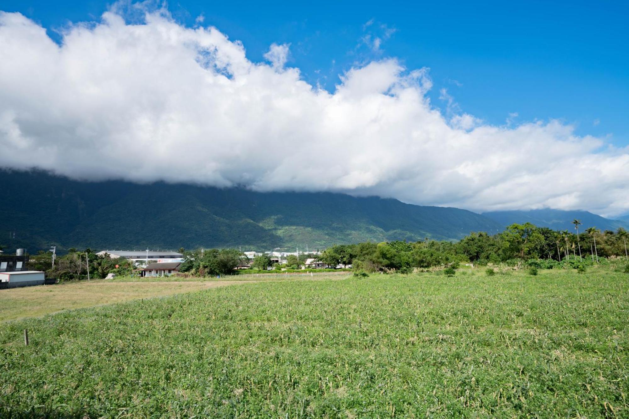Apartament Hualien Travel Dahan Zewnętrze zdjęcie
